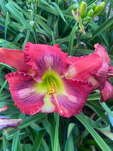 A Ghostly Footprint (2025)